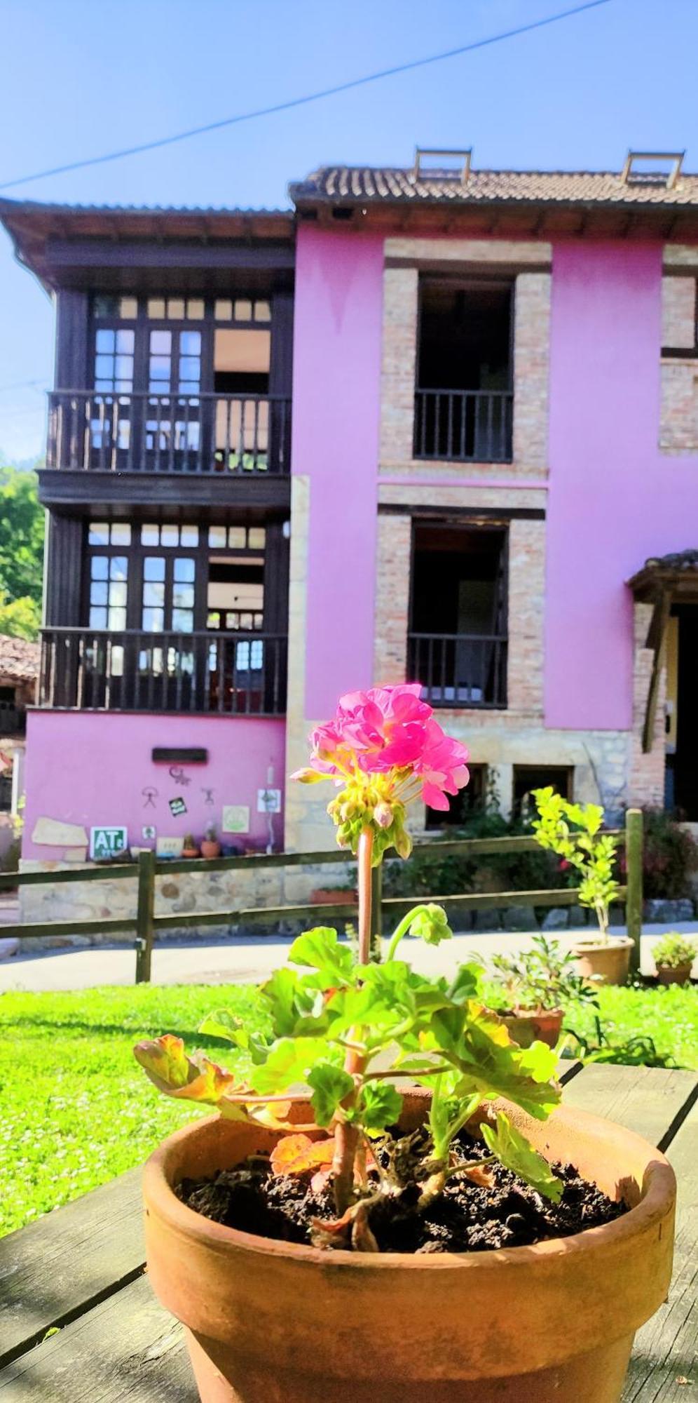 Casa Florenta Las Rozas Exteriér fotografie